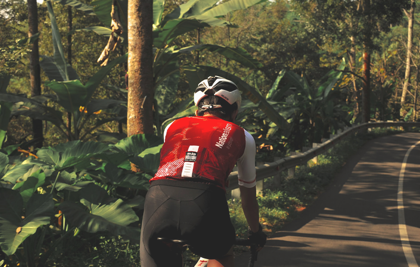 Scelerisque vestibulum urna