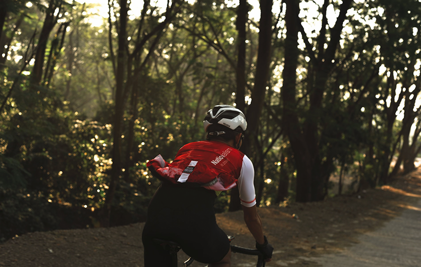 Scelerisque vestibulum urna